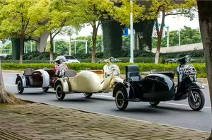 Vendita Diretta dalla Fabbrica: Motocicletta a Tre Ruote ad Alte Prestazioni con Sidecar, Nuovo Modello - Product Image 4
