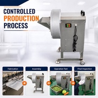 Fabrieksdirect groente snijmachine, schaafmachine en raspmachine voor gember, aardappel, wortel, knoflook, centrale keuken, OEM, ODM, maatwerk
