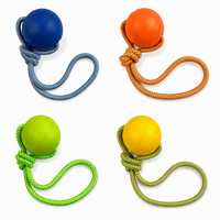 Ensemble de jouets à mâcher pour chien LY Classic Cute Durable, en mousse EVA écologique, 3D, élégant, pour l'intérieur et l'extérieur, soulage l'ennui du chien
