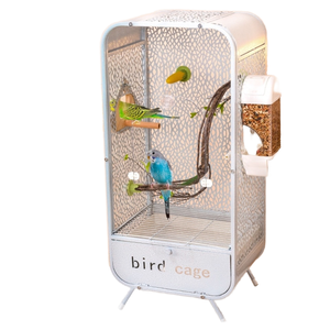 Vente en gros de <span class=keywords><strong>cage</strong></span> à oiseaux en acrylique panoramique transparente et solide villa ornementale anti-éclaboussures <span class=keywords><strong>cage</strong></span> de présentation à domicile pour oiseaux en métal - Product Image 5
