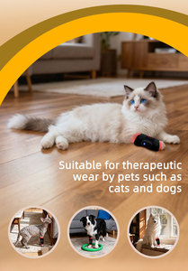 Ceinture de thérapie infrarouge pour chats, chiens, lapins, chevaux - Réglable, écologique, soulagement de la <span class=keywords><strong>douleur</strong></span> <span class=keywords><strong>articulaire</strong></span> pour animaux de compagnie, sûr, fiable, vétérinaire - Product Image 2