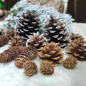 2025 Nuova Decorazione Natalizia Popolare ONE FLOWER, Grande <span class=keywords><strong>Pigna</strong></span> Naturale 2-10cm, a Forma di Albero, Ecologica e Durevole - Product Image 2