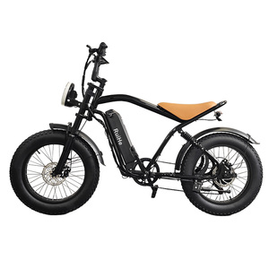 Ruihe Y8 Nueva llegada Bicicletas eléctricas Ebike Bicicletas 48V Nuevo diseño Fat Tire Bicicleta eléctrica 20 pulgadas Fat Tire E-Bike para hombres - Product Image 1
