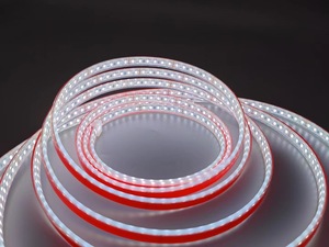 Avlu yüzme havuzu ev kullanımı için 24V IP68 su geçirmez açık hava <span class=keywords><strong>LED</strong></span> şerit ışıkları uzaktan kumanda düşük voltajlı silikon <span class=keywords><strong>LED</strong></span>