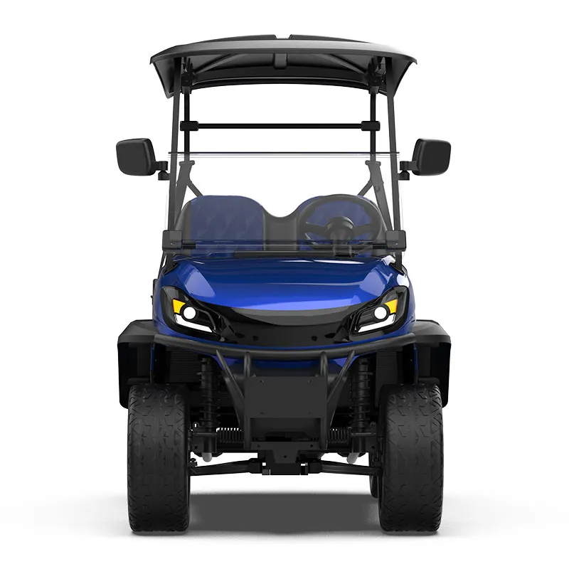 Manufacturing Wholesalers Manufacturers Direct Sales Electric Golf Carts 2-seater CE 48V Electric Open Cart Price In India 3m