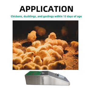 Inyector eléctrico de vacunas para aves de corral, dosis automática, <span class=keywords><strong>jeringa</strong></span> veterinaria ajustable para pollo, pato, pájaro - Product Image 4