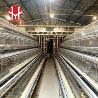 Cage à poulets de type A, cage automatique à batterie, 4 niveaux, collecte des œufs, convoyeur à fumier, abreuvoir à tétine, acier galvanisé, 3 niveaux