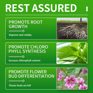 Comprimés de nutrition d'<span class=keywords><strong>engrais</strong></span> organique Nutriments de plantes d'intérieur <span class=keywords><strong>pour</strong></span> le <span class=keywords><strong>potager</strong></span> - Product Image 4