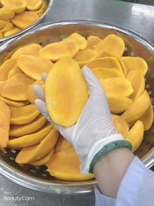 MANGUE CONGELÉE AU MEILLEUR PRIX VENTE EN GROS Usine de fruits tropicaux congelés - Product Image 5