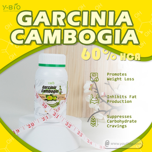 Krachtige Pure <span class=keywords><strong>Garcinia</strong></span> <span class=keywords><strong>Cambogia</strong></span> Extract <span class=keywords><strong>Capsules</strong></span> Hydroxycitroenzuur voor Gewichtsbeheersing - Voedingskwaliteit <span class=keywords><strong>90</strong></span> <span class=keywords><strong>Capsules</strong></span>/Fles Voorraad - Product Image 3