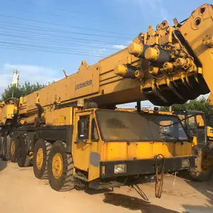 LIEBHERR 300 vinç çin'de satılık