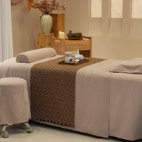 Housse de lit de spa kaki, drap de table de massage uni doux, ensemble de housses de table de massage pour salon de beauté