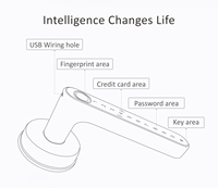Poignée de porte intelligente biométrique en alliage de zinc de haute qualité avec déverrouillage par empreinte digitale, application TTlock, mot de passe, carte RFID IC, NFC