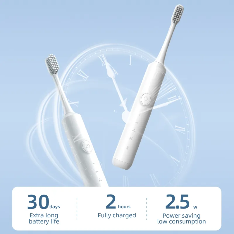 Baolijie YS008 OEM IPX7 Waterproof Food Grade Sonic Electric Toothbrush Rechargeable Vibrating Automatic Toothbrush