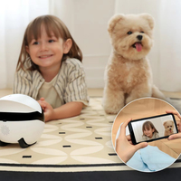 Interaktiver Katzenroboter für drinnen: HD-Kamera, Zwei-Wege-Sprachanruf, Datenschutzmanagement, wiederaufladbar, intelligentes Begleitgerät für Katzen