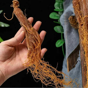 1000g hong shen raízes de genseng seca naturais em vapor todo coreano - Product Image 2