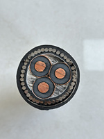 Câble d'alimentation en cuivre blindé Huaqi personnalisable 8,7/10 kV 3x95 mm, isolé XLPE, pour la construction et l'exploitation minière, modèle WD-MYJY43 SWA