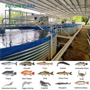 Sistema de Acuicultura Comercial a Gran <span class=keywords><strong>Escala</strong></span> para la Cría de Carpas, Tilapias y Truchas, Sistema Ecológico de Recirculación de Aguas (<span class=keywords><strong>RAS</strong></span>) para Interiores - Product Image 1