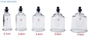 सक्शन का उपयोग करके पंप के साथ विभिन्न टिकाऊ शरीर अनुप्रयोग वैक्यूम कपिंग कप - Product Image 4