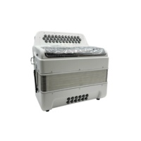 Accordéon professionnel OEM 34 boutons, 12 basses, 3 registres, corps blanc brillant, grille argentée, boutons argentés JB3412C