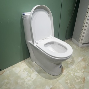 Керамический унитаз с двойным смывом - Product Image 5