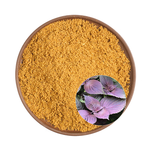 High Purity Perilla Leaf <b>Extract</b> Skin Moisturising Purple Frutescens Seed Leaf Perilla <b>Extract</b> - Product Image 2