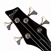 Professional 4 String Electric Bass Guitar L-B3-4 with Die-cast Tuners Roasted Maple Fingerboard