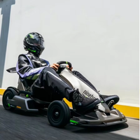 Kart électrique pliable Ninebot Pro 2 24V 2025 pour divertissement en plein air, course et drift, 43 km/h, pour adultes et enfants