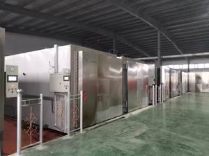 Nova Máquina Esterilizadora a Vapor Horizontal de Porta Dupla de Alta Produtividade com 1 Ano de Garantia para Cultivo de Cogumelos e Alimentos - Product Image 6