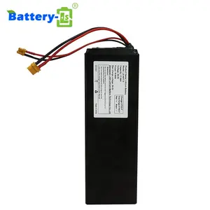 Poisson argenté 36V 48V 52V 14Ah 15Ah 20Ah 30Ah batterie de vélo électrique lithium-ion 500W 1000W 1500W pour batterie de vélo électrique