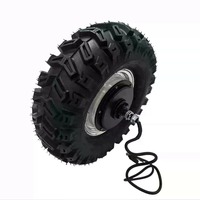 Moteur de moyeu à engrenages sans balais à couple élevé 24-48V 300Nm 1000W, pour pneu tout-terrain à faible vitesse, double arbre, étanche à la poussière et à l'eau