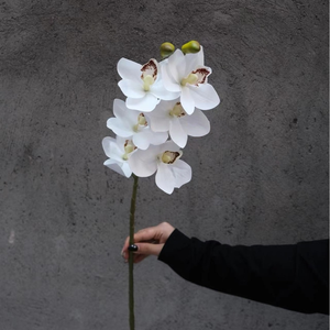Fleurs artificielles en soie blanc laiteux imprimées en 3D, accessoires de photographie, décoration de mariage et de salle, vente en gros, style Instagram - Product Image 2