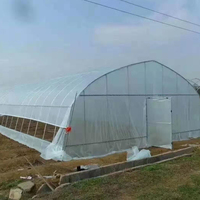 Grandes serres agricoles en film plastique à simple travée avec système d'irrigation par pulvérisation/goutte-à-goutte, marque Bafangle