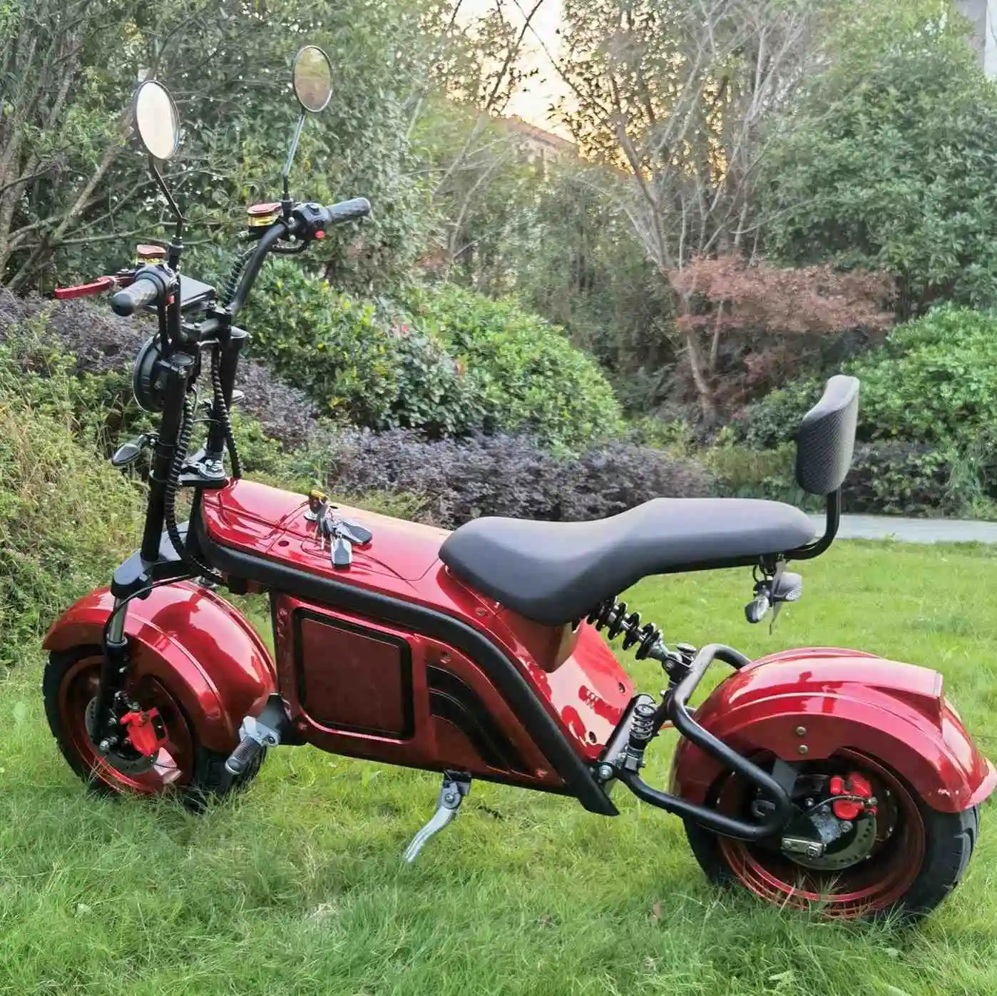 Citycoco/Leon/Woqu 2 tekerlek öz dengeleme hareketlilik elektrikli arabası kaplı elektrikli Scooter