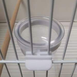 Toptan 5.5cm çap şeffaf asılı şeffaf akrilik kuş papağan tohum mama besleyici dağıtıcı kase için kafes - Product Image 3