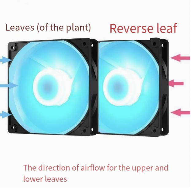 120mm Silent Computer Case Fan with RGB Ice Blue Color