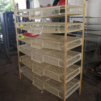Cage à cailles en plastique PVC pour équipement d'élevage de cailles HJ-QC400B