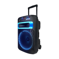 Enceinte trolley en plastique 15 pouces avec microphone sans fil, 60W haute puissance, LED RGB, batterie, Aux, Bluetooth 5.3 pour fêtes et événements extérieurs