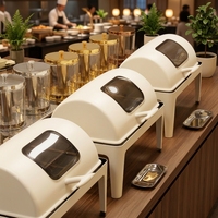 TAAIDING Réchaud de buffet en acier inoxydable 201 pour usage hôtelier, 9L, avec couvercle roulant, fenêtre en verre, chauffage continu pour alcool et maintien au chaud des aliments