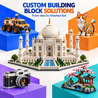 Ensembles de blocs de construction personnalisés OEM ODM, petites séries, briques éducatives avec logo, emballage mixte, boîte de couleur personnalisée