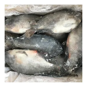 全冷冻黑色罗非鱼100% 天然中国食品出口产品IQF罗非鱼