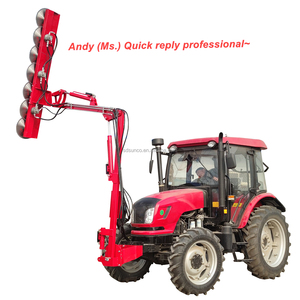 Desbrozadoras Montadas <span class=keywords><strong>en</strong></span> Tractor, Accesorio de Podadura para Tractores - Product Image 4