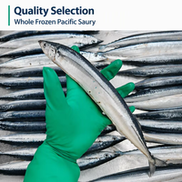 Fournisseur de produits de la mer exporte des poissons frais et des sauries du Pacifique congelés en vrac pour le marché alimentaire africain