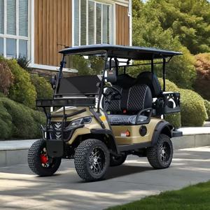 Voiturette buggy personnalisable avec panneau solaire, voiturette de <span class=keywords><strong>golf</strong></span> électrique 6 places, scooter de <span class=keywords><strong>golf</strong></span> touristique tout-terrain, voiturette de club - Product Image 5