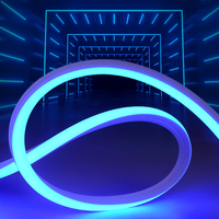 Luz LED de neón de silicona personalizada de alto brillo IP68, tira de luz RGB Flexible para pared de suelo para paisajes interiores y exteriores