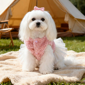 PETCIRCLE Pet <b>Clothes</b> Autumn/Winter Small Dog Puppy Happy Dog <b>Cat</b> Warm and Comfortable Unicorn Tulle Skirt - Pink - Product Image 2