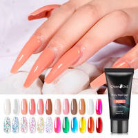 Kit de Uñas de Gel de Extensión de Poligel OEM ODE con Solución Deslizante, Herramientas Básicas de Arte de Uñas de Poligel, Kit de Diseño de Arte de Uñas para Principiantes