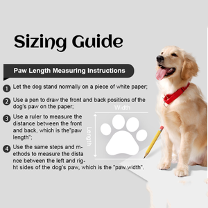 Stucce per cani da passeggio impermeabili da spiaggia, - Product Image 6