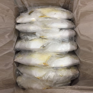 Pescado Pomfret Congelado de Calidad, Pomfret Dorado, Exportador, Tamaño Grande, IQF, IWP, Pescado Pompano Dorado Congelado - Product Image 6