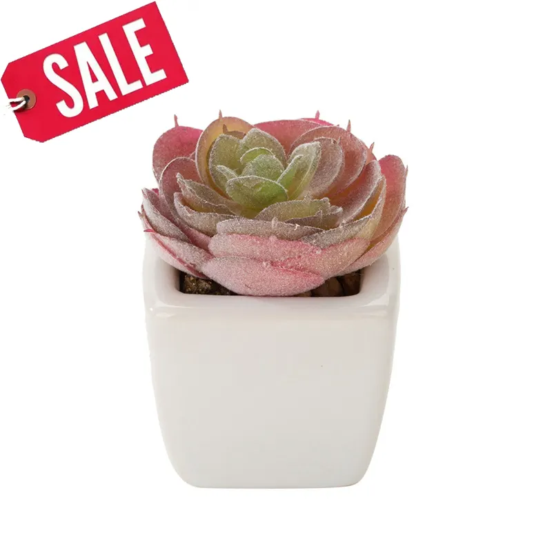 Faux Succulents In Pots Mini Artificial Succulent Plant Indoor Cute Small Fake Plants Decor With Ceramic Pots For Modern Home